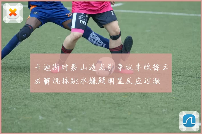 卡迪斯对泰山造点引争议李欣徐云龙解说称跳水嫌疑明显反应过激