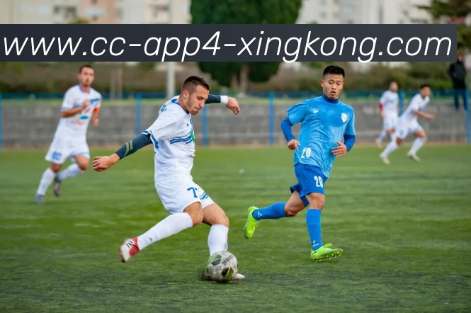 App界面